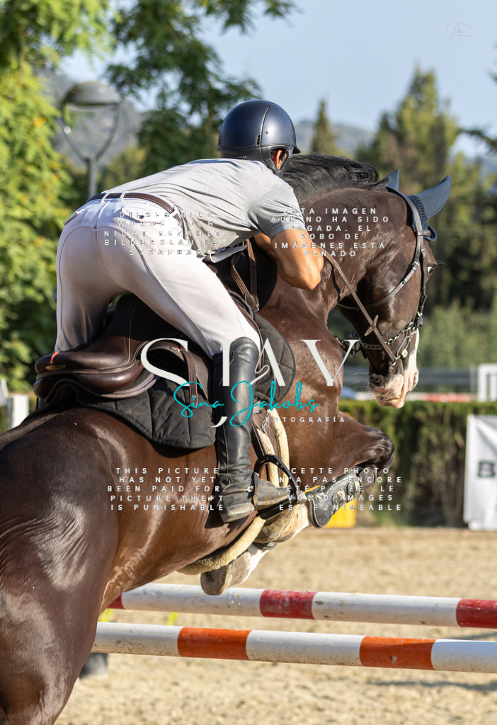 IMG_9578 | s-jay-photography - Realisiert mit Pictrs.com