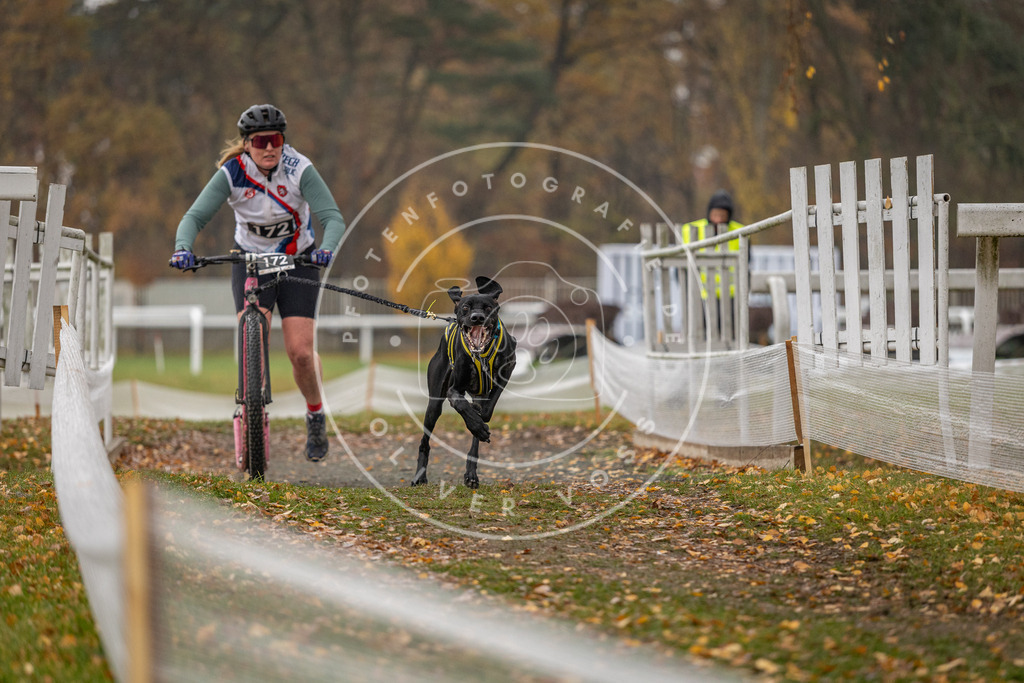 CaniXpix_DV3A8583 | Hundefotografie, Tierfotograf, Pfotenfotografie, Fotoshooting Hund, Hunde Portrait, Hundesport, Hundeportraits, Heideshooting, Hunde, Sportfotograf, Hundefotograf, Turnierhundsport, THS,  - Realisiert mit Pictrs.com