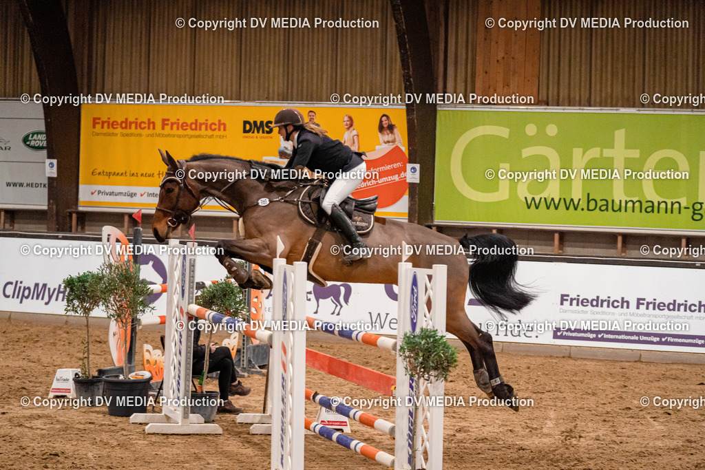 Kranichstein Tag 2-1248 | dv-media-shop - Realisiert mit Pictrs.com