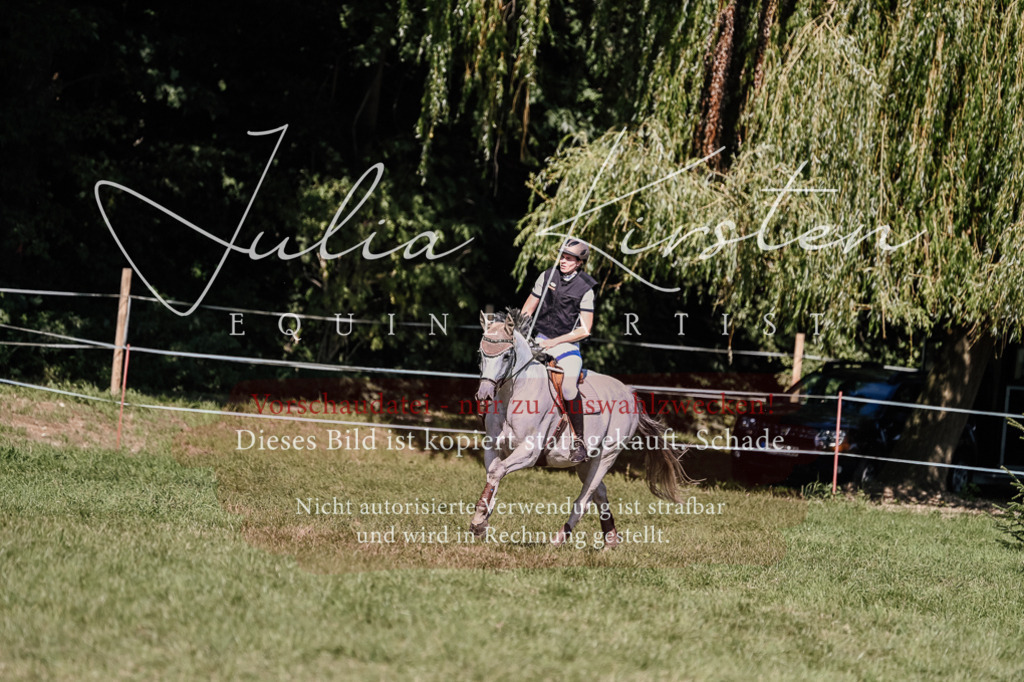 DSC_2869 | Pferde- und Turnierfotografie in Westsachsen. Pferdeportraits, Auftragszeichnungen und intuitive Kunst.