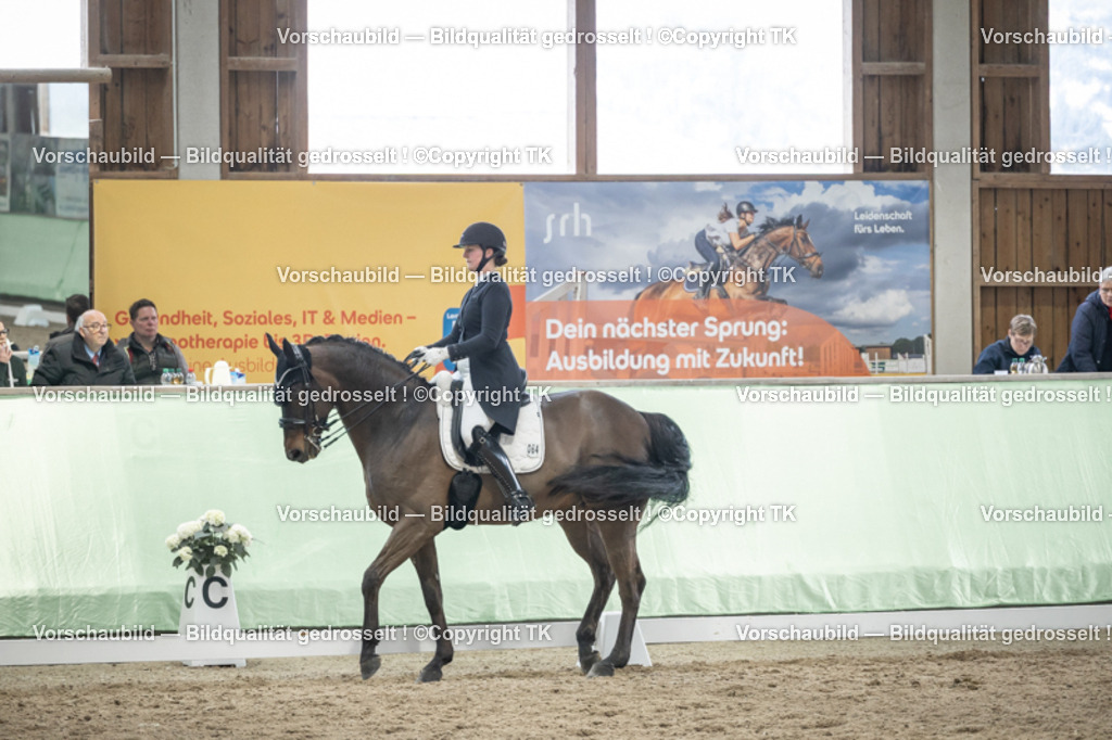 _D5A6277 | Emotionale Pferde- & People-Fotografie rund um Heidelberg, Leimen & Umgebung. Natürliche Fotos von Pferd, Mensch & Familie. Jetzt Termin sichern!