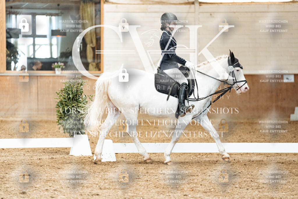 CK900462 | Turnierfotografie Pferdefotografie Trier Rheinland-Pfalz Pferdesport Reitsport Tierfotografie Sportfotografie Pferdevideo Pferdevideografie Equestrianvideography equestrianphotography  - Realisiert mit Pictrs.com