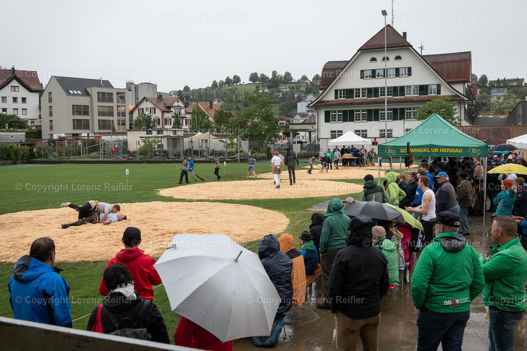 Schwingen -  Herisauer Obetschwinget 2024 | Herisau, 1.6.24, Schwingen - Herisauer Obetschwinget.