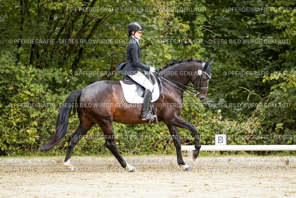 DSC03979 | Pferdegrafie