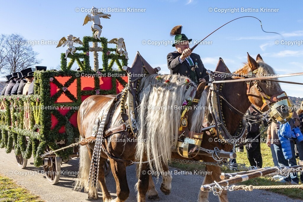 LBT25-977 | foto-bettina-krinner - Realisiert mit Pictrs.com
