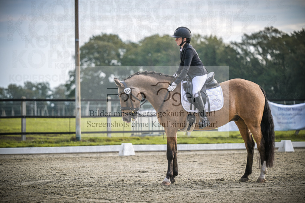 DOS_4566 | Entdecke hochwertige Reitturnierfotos von Foto Oger. Professionell, emotional und authentisch – jetzt Lieblingsmomente im Shop bestellen.Deutschlandweite Turnierfotografie. - Realisiert mit Pictrs.com