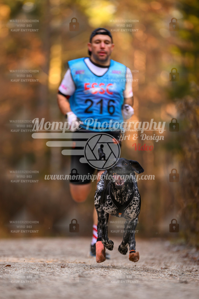 MompixPhotography_DM_AKDM_SO_2025_-23 | PayLife