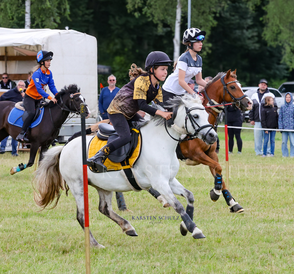 1B3A0752 | Reitsport Reiten