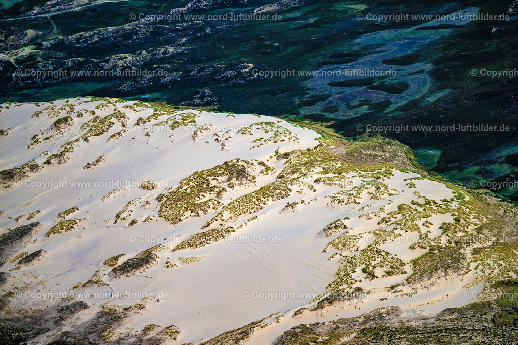 Sylt_List_Wanderdüne_ELS_1463210625 | LIST AUF SYLT 21.06.2025 Sandaufschüttungen einer Wanderdünenfläche in der Nordsee an der Listlandstraße in List auf Sylt im Bundesland Schleswig-Holstein, Deutschland. // Sand deposits of a shifting dune area in the North Sea on street Listlandstrasse in List auf Sylt in the state Schleswig-Holstein, Germany. Foto: Martin Elsen