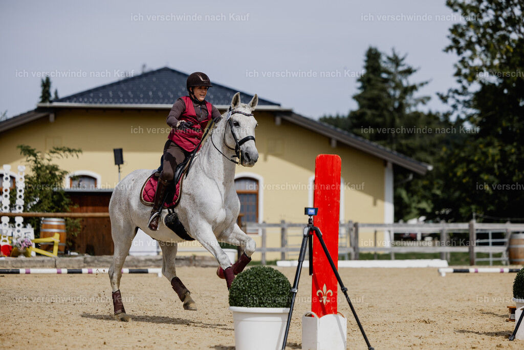 Kelly4_FHC2025-20341 | working equitationturnier fotograf videograf stoibphotography marixx film working equitation deutschland reitsport turnierfotografie eventfotografie equestrian events