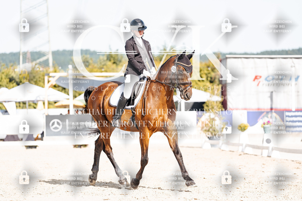 CK905693 | Turnierfotografie Pferdefotografie Trier Rheinland-Pfalz Pferdesport Reitsport Tierfotografie Sportfotografie Pferdevideo Pferdevideografie Equestrianvideography equestrianphotography  - Realisiert mit Pictrs.com