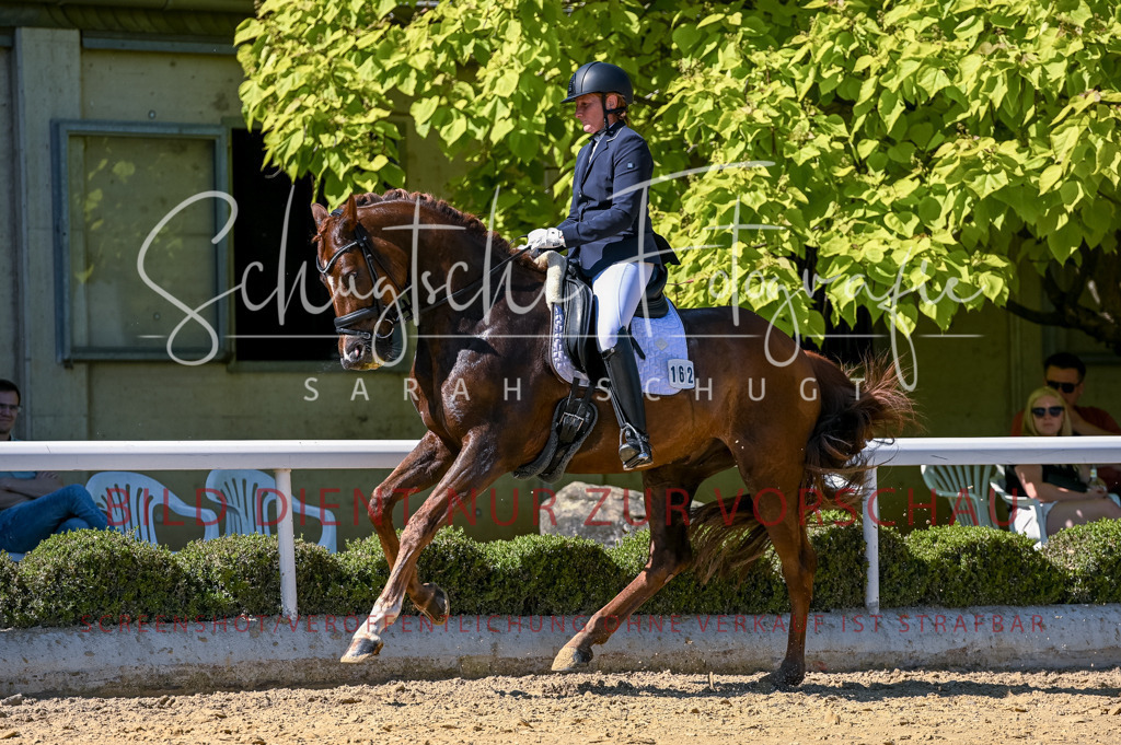 Schugtsche-Aluta25-50.Dressurpferdeprf.L-104 | Schugtsche Fotografie - Realisiert mit Pictrs.com