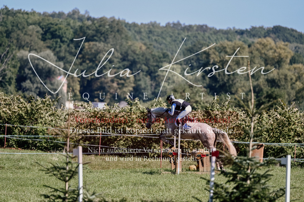 DSC_1384 | Pferde- und Turnierfotografie in Westsachsen. Pferdeportraits, Auftragszeichnungen und intuitive Kunst.