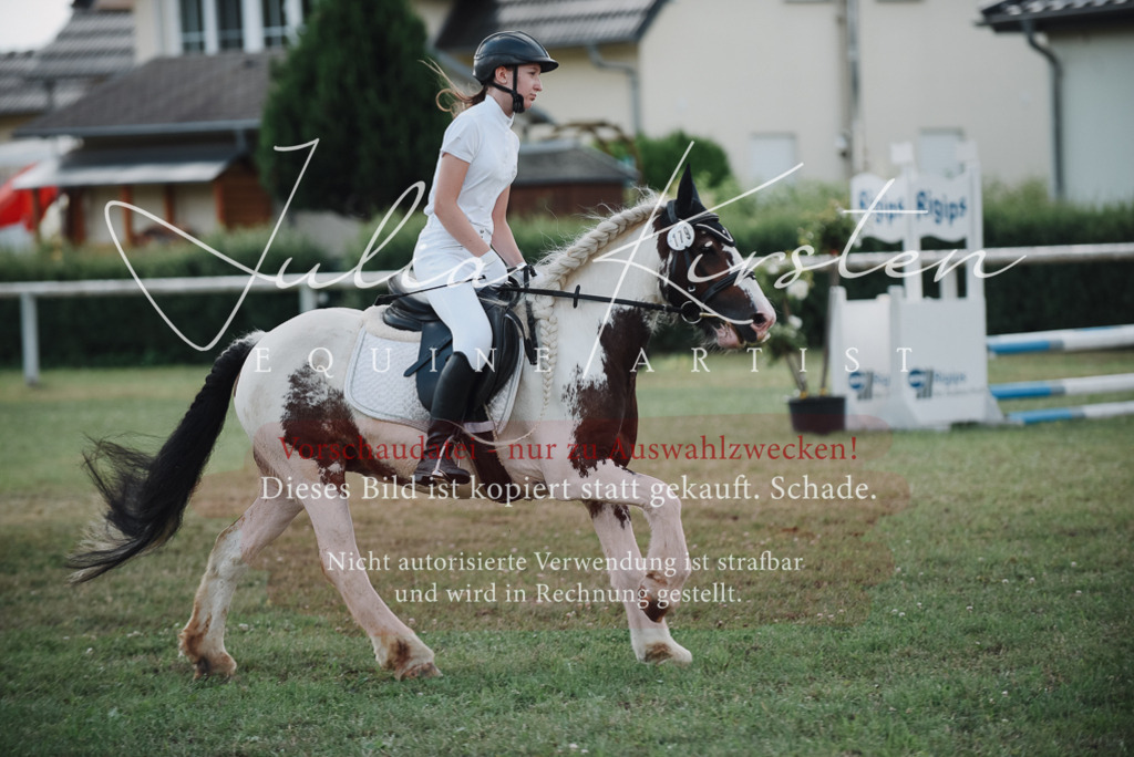 DSC_5644 | Pferde- und Turnierfotografie in Westsachsen. Pferdeportraits, Auftragszeichnungen und intuitive Kunst.