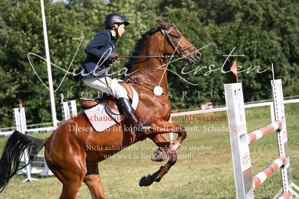 DSC_1251 | Pferde- und Turnierfotografie in Westsachsen. Pferdeportraits, Auftragszeichnungen und intuitive Kunst.