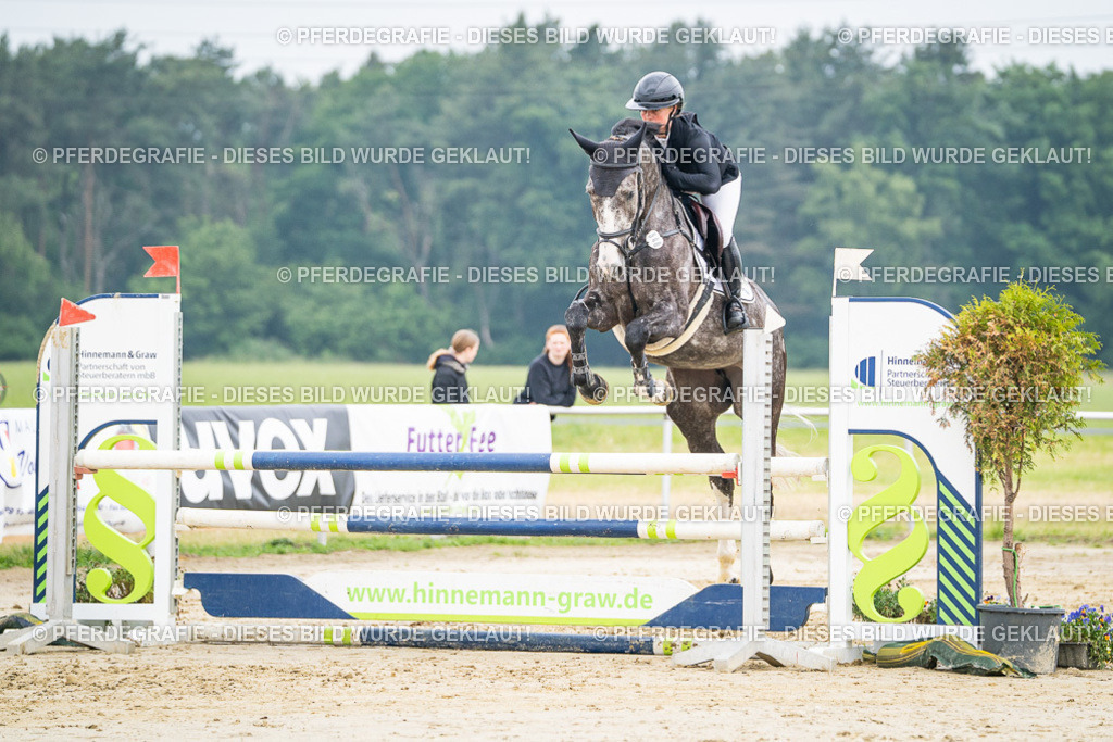 DSC00210 | Pferdegrafie