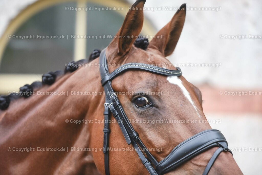 20230514_Impressionen_0159 | equistock
