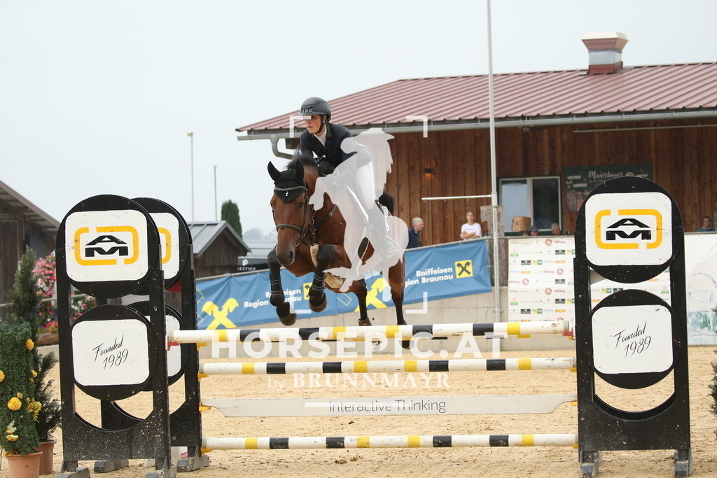 DL2Q6412 | Willkommen bei Brunnmayr - Design & Fotografie – Ihrem Spezialisten für Reitturniere und Pferdeveranstaltungen in Oberösterreich, Salzburg und Bayern! Seit über 17 Jahren sind wir leidenschaftlich dabei.