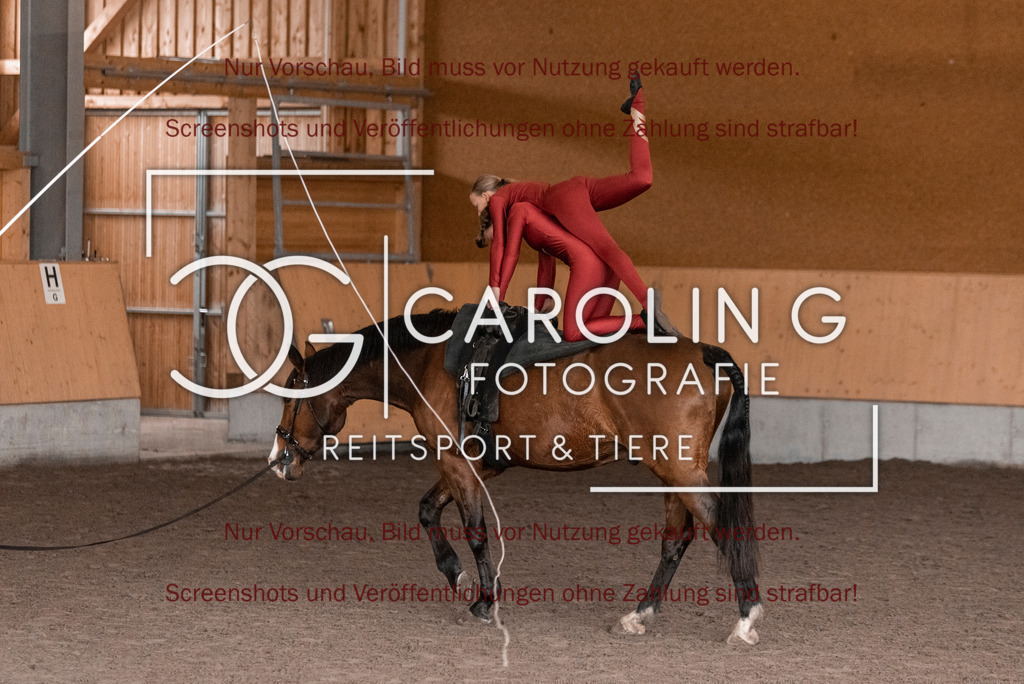 DSC_2090 | Turnierfotografin Carolin Gieschke,Reitsport Turnierfotografie Carolin G Fotografie | Turnierfotos aus Kirchheim/Teck, Esslingen, Stuttgart und dem Bodenseekreis