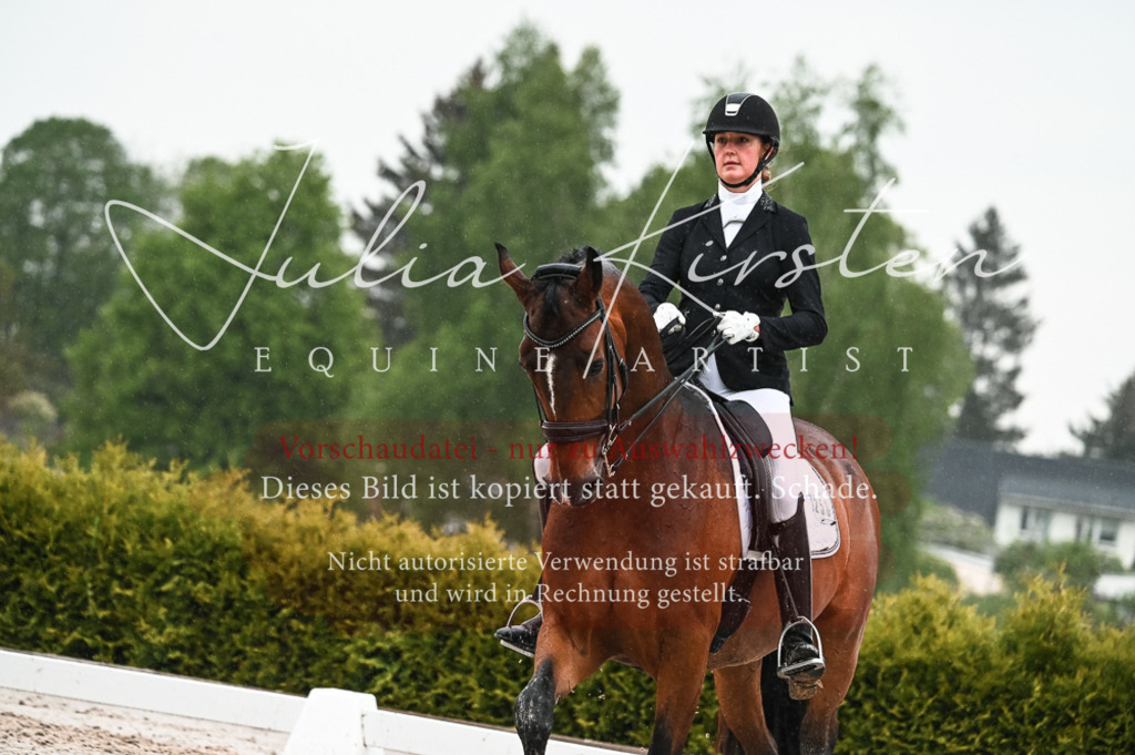 DSC_4576 | Pferde- und Turnierfotografie in Westsachsen. Pferdeportraits, Auftragszeichnungen und intuitive Kunst.