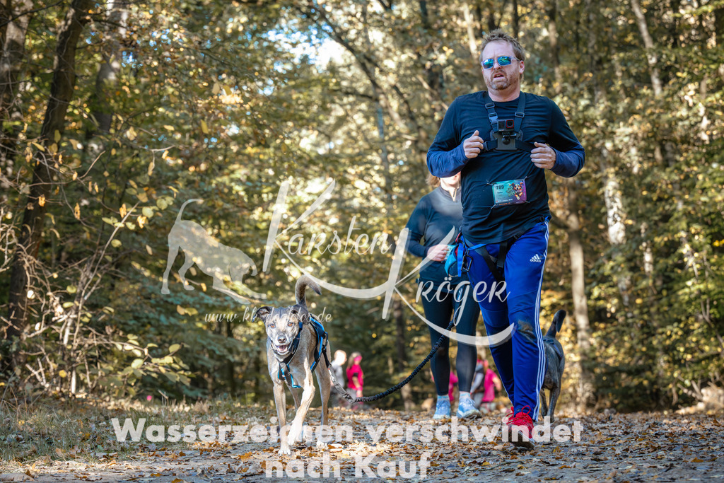1108_ZZ91688 | kk-dogfotos
