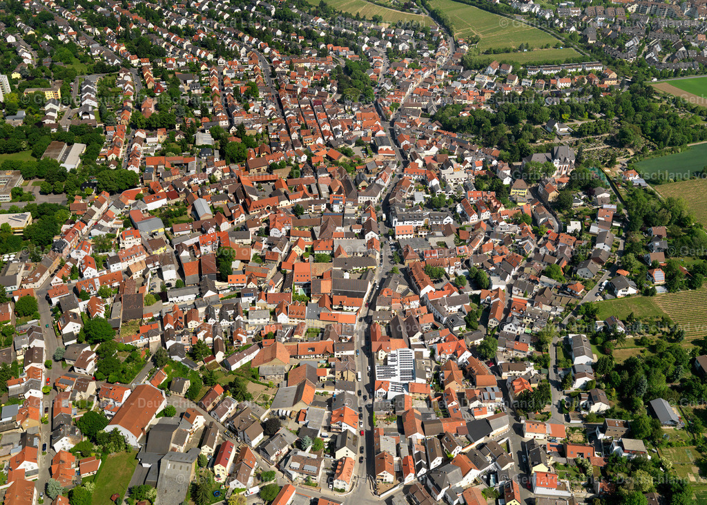 3134079-Hechtsheim | Hechtsheim