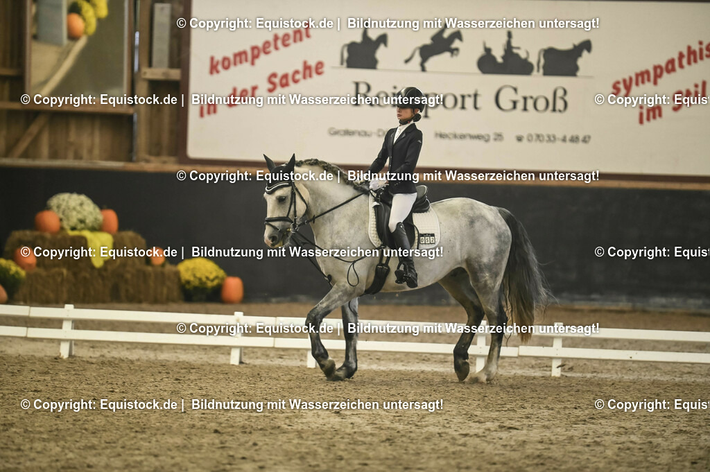 20231029_02_Reiter-WB_Schritt-Trab-Galopp_Abteilung-02_0044 | Foto: Thomas Hartig