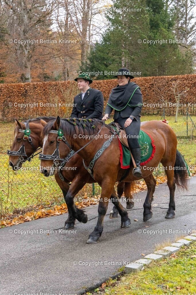 LL25-98 | foto-bettina-krinner - Realisiert mit Pictrs.com