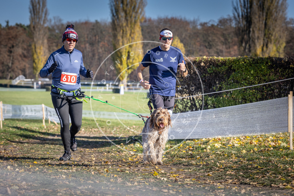 CaniXpix_DV3A9722 | Hundefotografie, Tierfotograf, Pfotenfotografie, Fotoshooting Hund, Hunde Portrait, Hundesport, Hundeportraits, Heideshooting, Hunde, Sportfotograf, Hundefotograf, Turnierhundsport, THS,  - Realisiert mit Pictrs.com