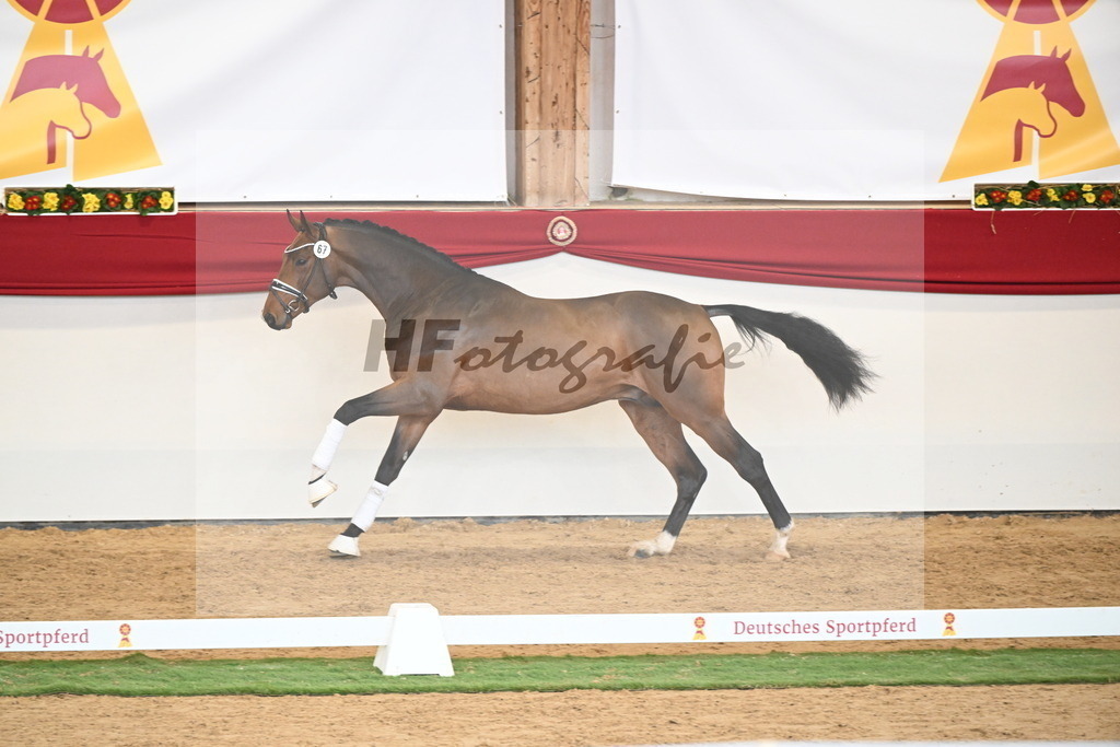 Kat.-Nr. 67 v. Fürstenball_Niehe_2250540 | hf-fotografie - Realisiert mit Pictrs.com