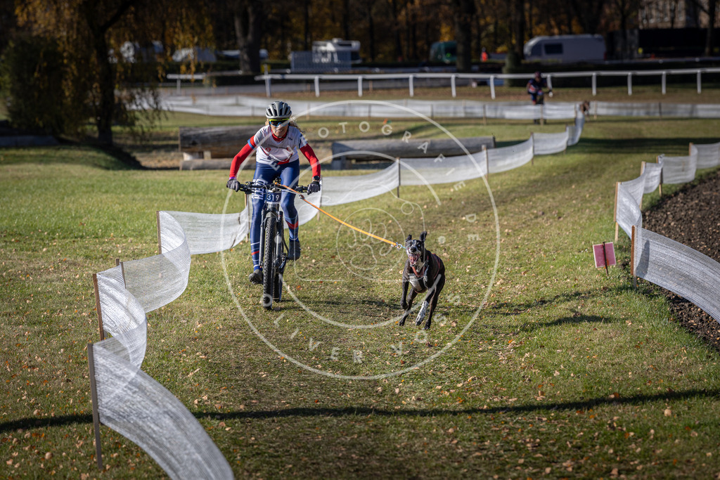CaniXpix_DV3A6457 | Hundefotografie, Tierfotograf, Pfotenfotografie, Fotoshooting Hund, Hunde Portrait, Hundesport, Hundeportraits, Heideshooting, Hunde, Sportfotograf, Hundefotograf, Turnierhundsport, THS,  - Realisiert mit Pictrs.com