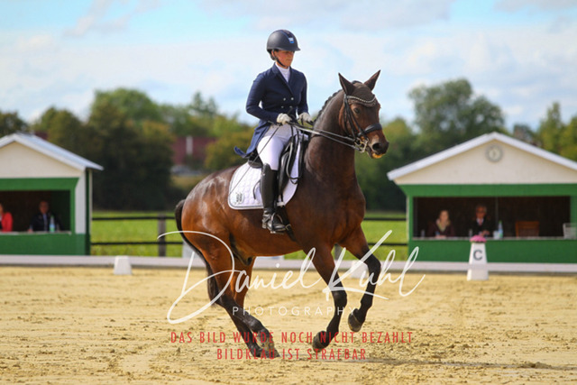 DKP44427 | Turniersportfotografie; Pferdefotografie; Dressurfotografie