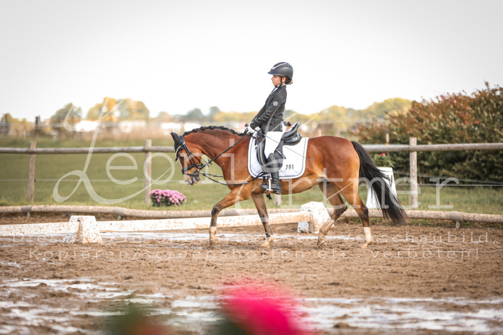 02.SoDrWB00329 | Leoni Ertmer Photography - Realisiert mit Pictrs.com