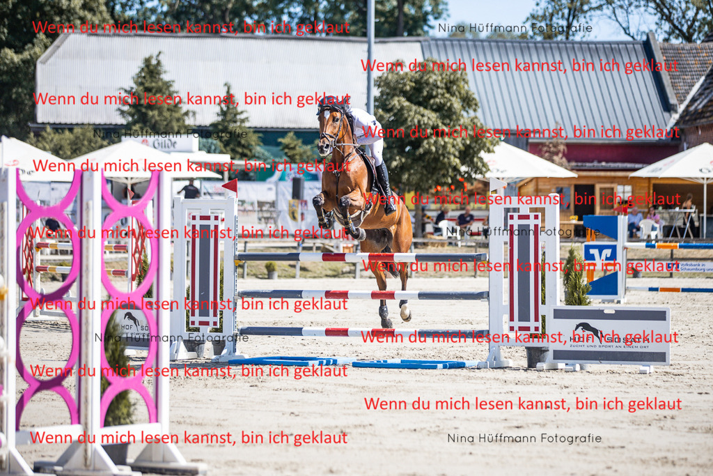 BK1A6654 | Turnierbilder Turnierfotos Nina Hüffmann Turnierfotografie Pferdefotografie Tierzeichnung Haustierzeichnung Pferdezeichnung Hundezeichnung Videograf  - Realisiert mit Pictrs.com