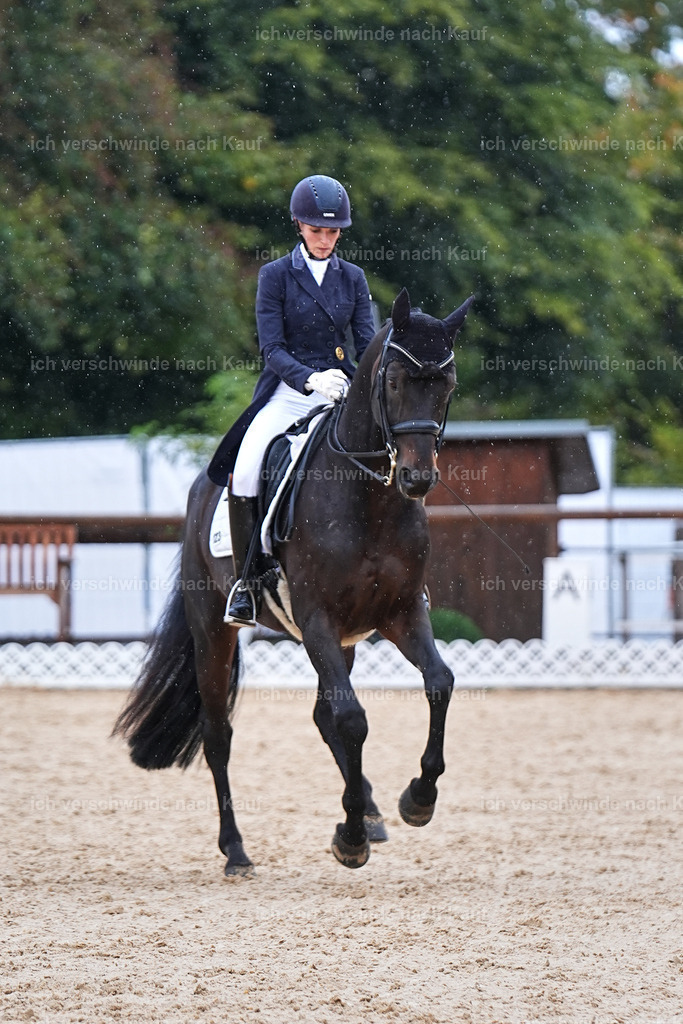 07-123-DRESSUR  S___  -Marixx-5117 | working equitationturnier fotograf videograf stoibphotography marixx film working equitation deutschland reitsport turnierfotografie eventfotografie equestrian events