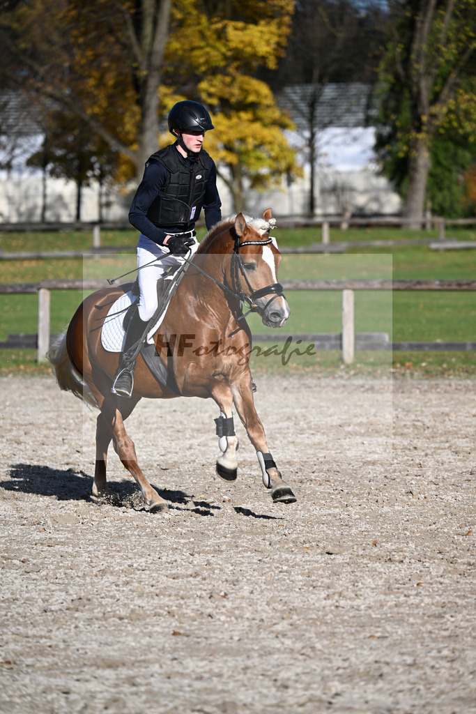 Kat-Nr. 7 Narcotic v. Nakuri_ZG Hackfurt u Weiser_43250764 | hf-fotografie - Realisiert mit Pictrs.com