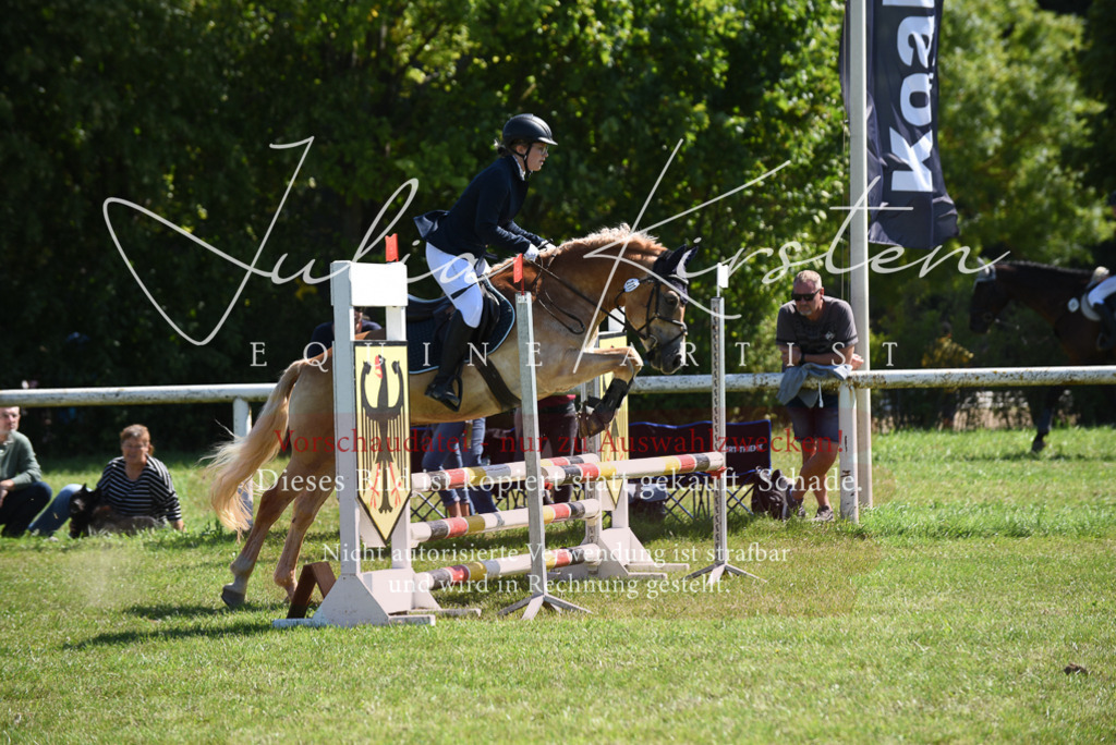 DSC_9514 | Pferde- und Turnierfotografie in Westsachsen. Pferdeportraits, Auftragszeichnungen und intuitive Kunst.