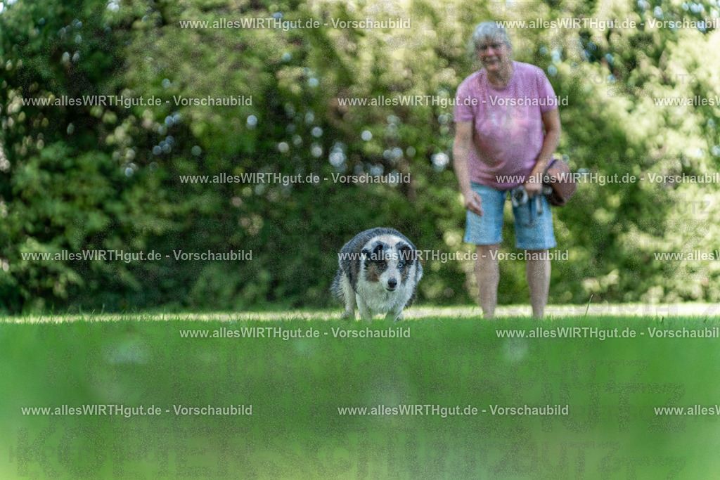 Hundeschwimmen_Volksbad_2026-allesWIRTHgut_Tierfotografie-2609061322-7R500692 | Professionelle Tierfotografie in Mönchengladbach von Daniel Wirth (allesWIRTHgut). Liebevolle & natürliche Bilder von Hunden & Katzen für unvergessliche Erinnerungen.