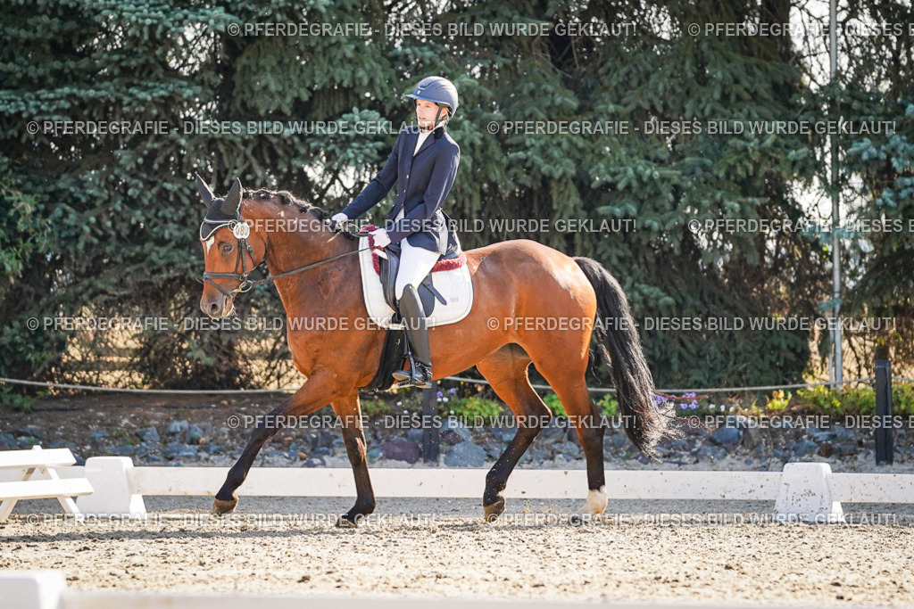 DSC09217 | Pferdegrafie