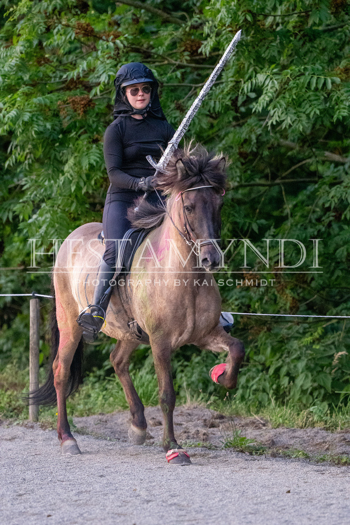 KAI07368 | Ihr sucht einen Fotografen für eure nächste OSI? Ich begleite auch euer Turnier für Islandpferde fotografisch.  - Realisiert mit Pictrs.com