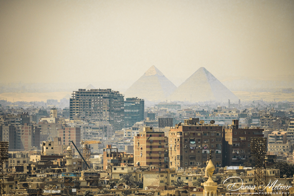 _DSC7721-2 | Fotografien, Fotos und Bilder aus Mainz, Frankfurt, Wiesbaden und anderen Orten auf der Welt - Fotografiert von Darius Metzner