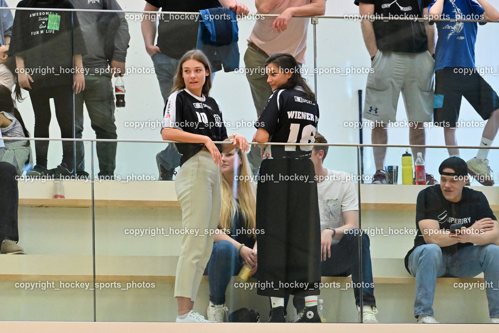 VSV Unihockey vs. Wiener Floorballferein 6.4.2024 | Besucher ST. Martin Ballspielhalle, Wiener Floorballverein FANS, VSV Unihockey vs. Wiener Floorballferein 6.4.2024, VSV Unihockey vs. Wiener Floorballferein  am 06.04.2024 in Villach (Ballspielhalle St. Martin), Austria, (Photo by Bernd Stefan)