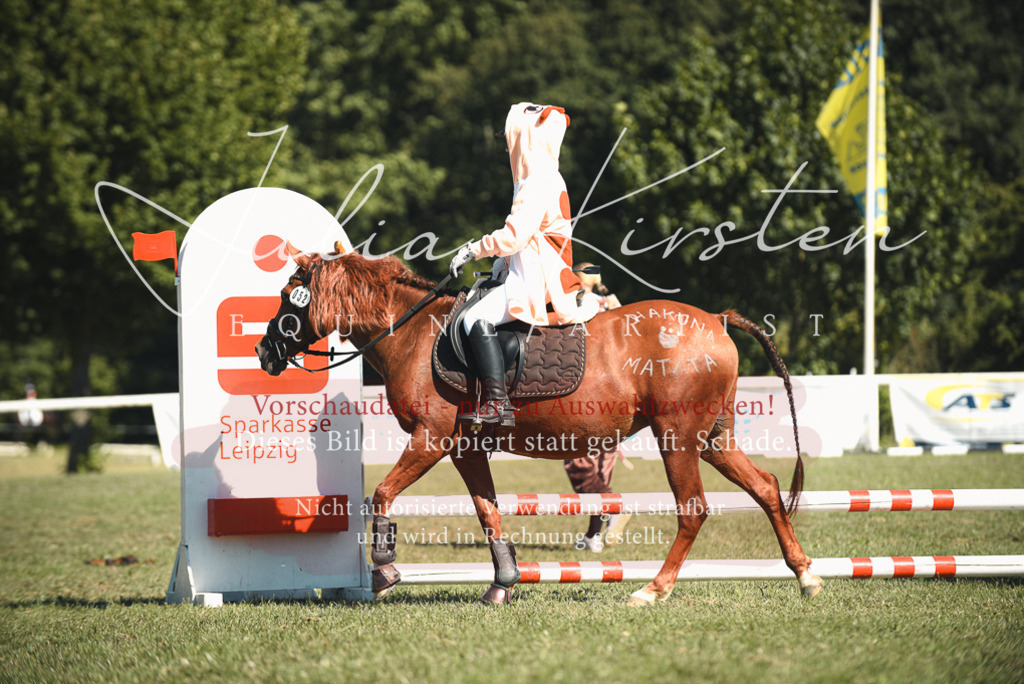 DSC_7392 | Pferde- und Turnierfotografie in Westsachsen. Pferdeportraits, Auftragszeichnungen und intuitive Kunst.