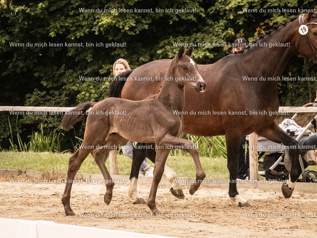 A10I1162 | photographylinaismer - Realisiert mit Pictrs.com