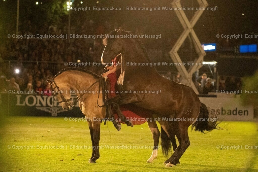20230526_Pferdenacht_1450 | equistock