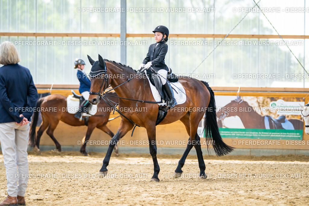 DSC00952 | Pferdegrafie