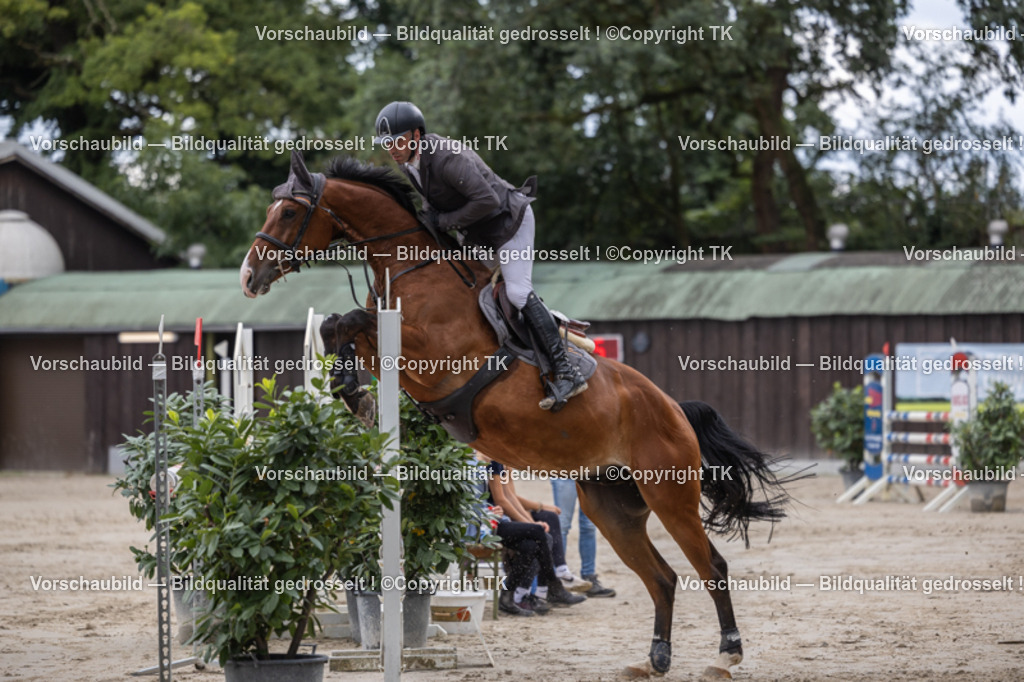 _D5A7771 | Emotionale Pferde- & People-Fotografie rund um Heidelberg, Leimen & Umgebung. Natürliche Fotos von Pferd, Mensch & Familie. Jetzt Termin sichern!