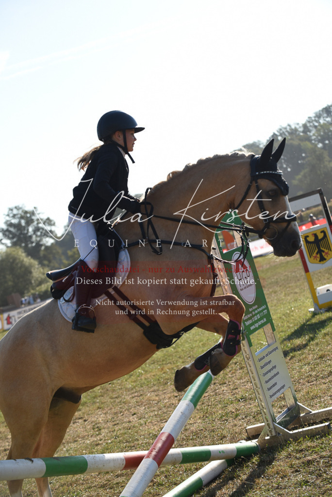 DSC_5521 | Pferde- und Turnierfotografie in Westsachsen. Pferdeportraits, Auftragszeichnungen und intuitive Kunst.