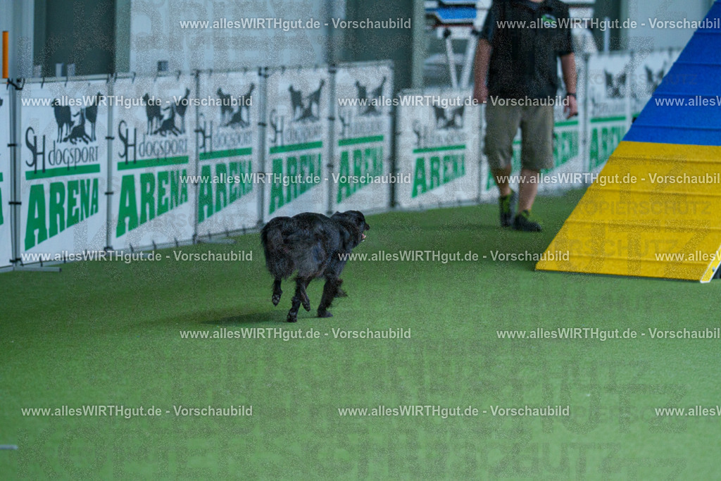 @allesWIRTHgut_Tierfotografie - www.allesWIRTHgut.de - 2604261124-7R509876 | Professionelle Tierfotografie in Mönchengladbach von Daniel Wirth (allesWIRTHgut). Liebevolle & natürliche Bilder von Hunden & Katzen für unvergessliche Erinnerungen.