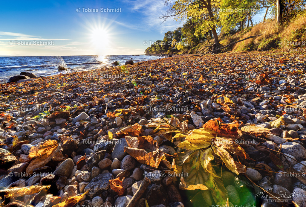 Fehmarn__DSC7930 | Fotoprodukte, Kalender und Wanddeko direkt vom Fotografen auf Fehmarn. Ob Wandbild auf Alu-Dibond, hinter Acrylglas oder auf Leinwand – hier können Sie Ihr Lieblingsbild kaufen. - Realisiert mit Pictrs.com